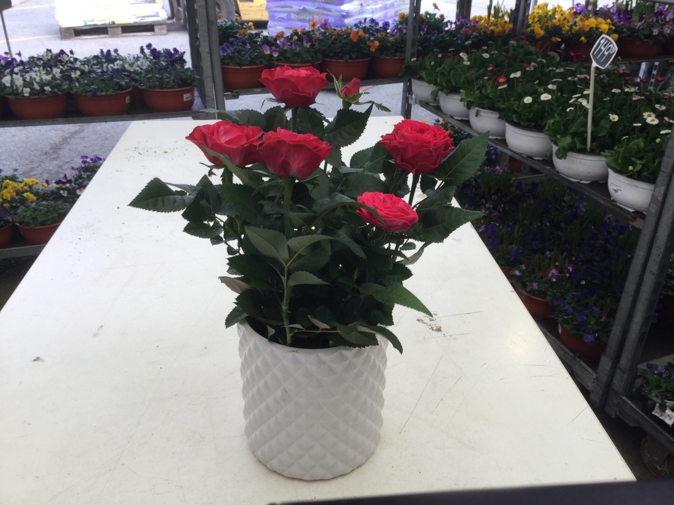 Verden blir aldri den samme etter Corona