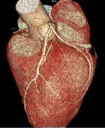 Røntgenlegene på Bærum sykehus 